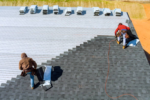 Best Metal Roofing Contractor  in Dollar Bay, MI