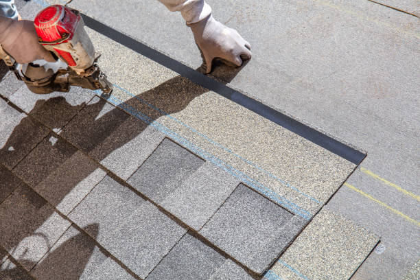 Best Metal Roofing Contractor  in Dollar Bay, MI